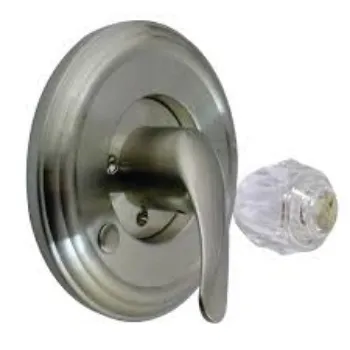Shower Handle